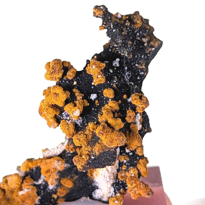 Romanéchite, goethite, Veszprém, Hongrie, 2,6 cm