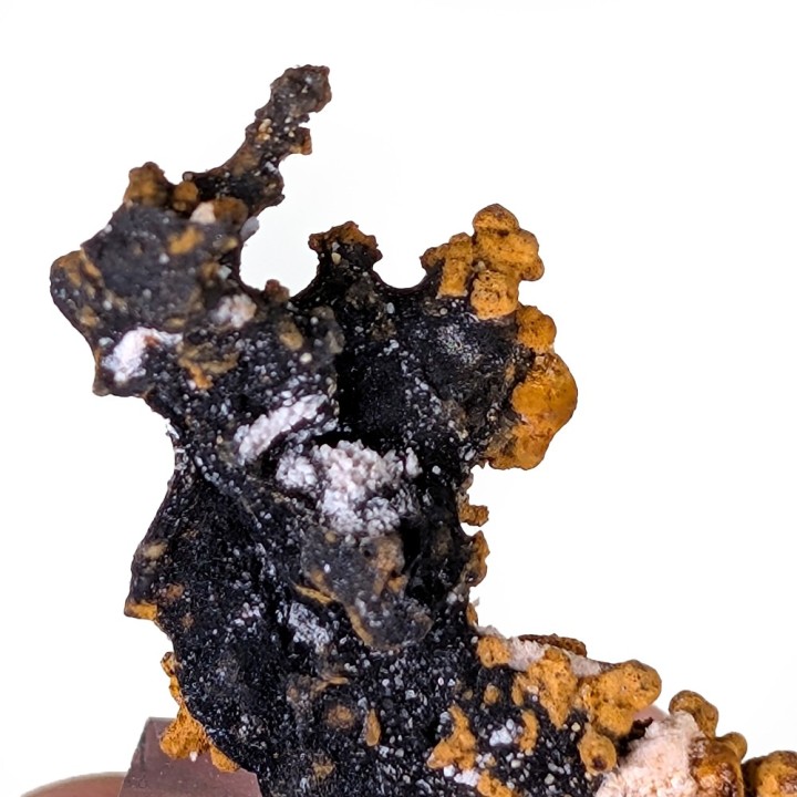 Romanéchite, goethite, Veszprém, Hongrie, 2,6 cm