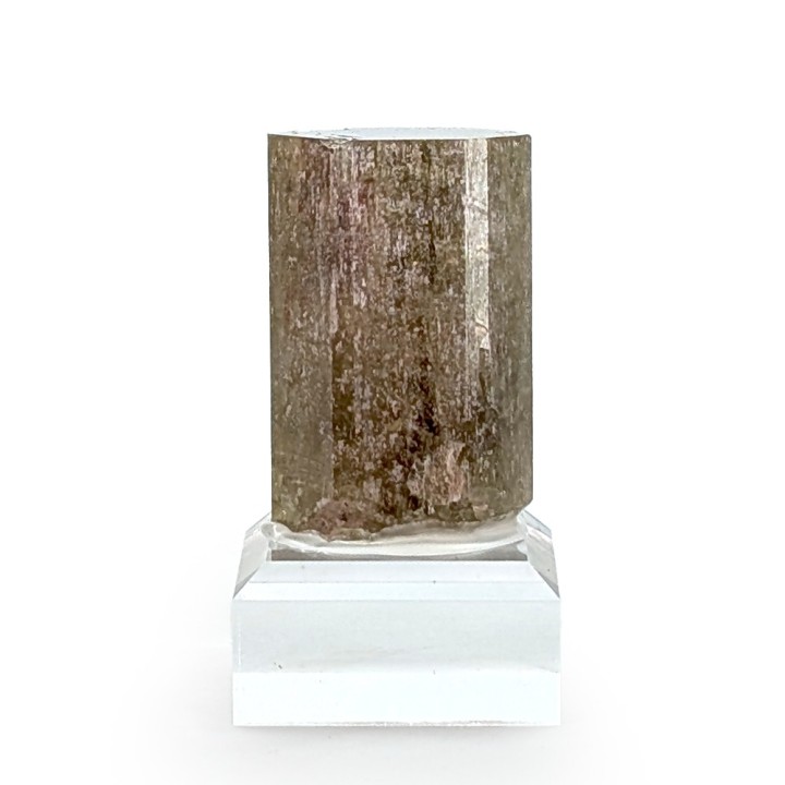 copy of