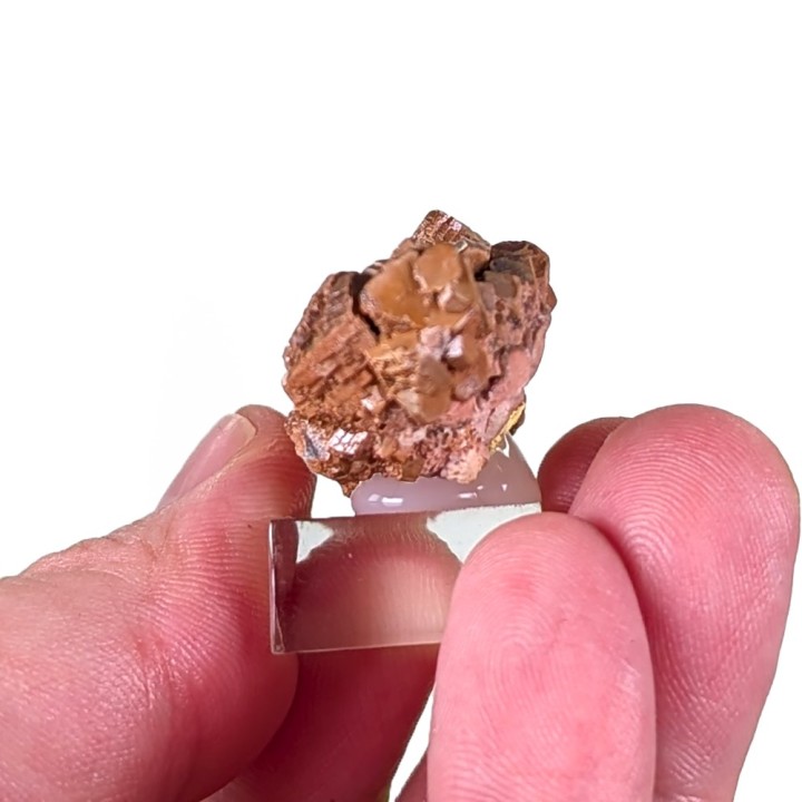Endlichite, Touissit, Maroc, 23 grammes