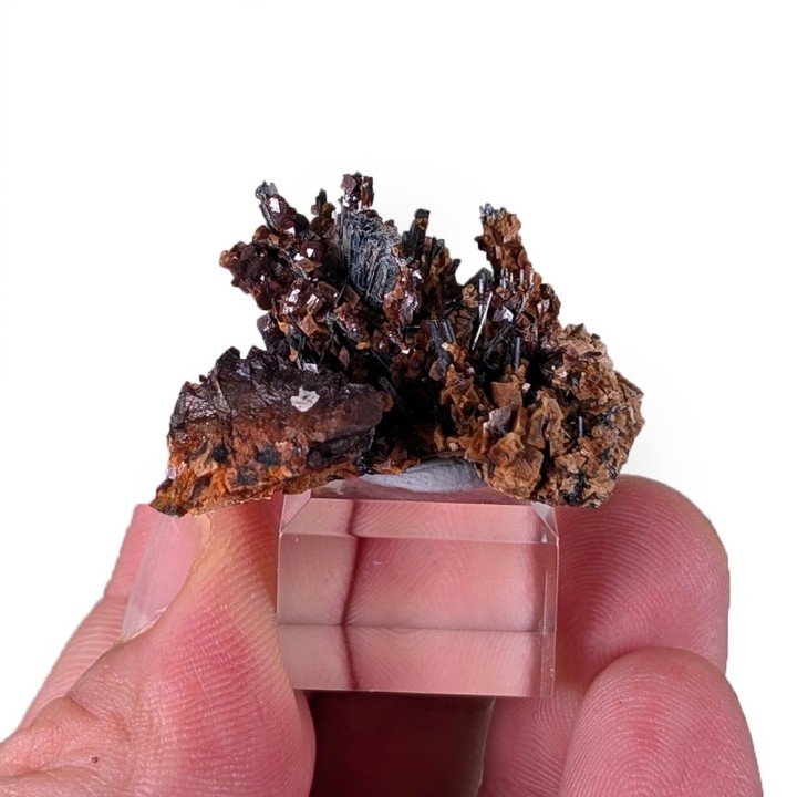 Zinkenite, Saint-Pons, France, 3.3 cm