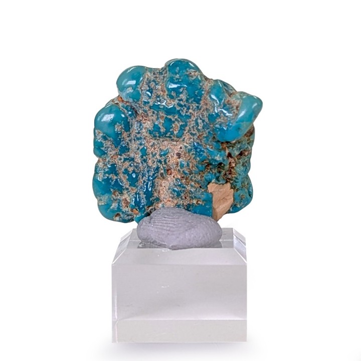 Turquoise, Campitos Mine, Mexico, 10 grams