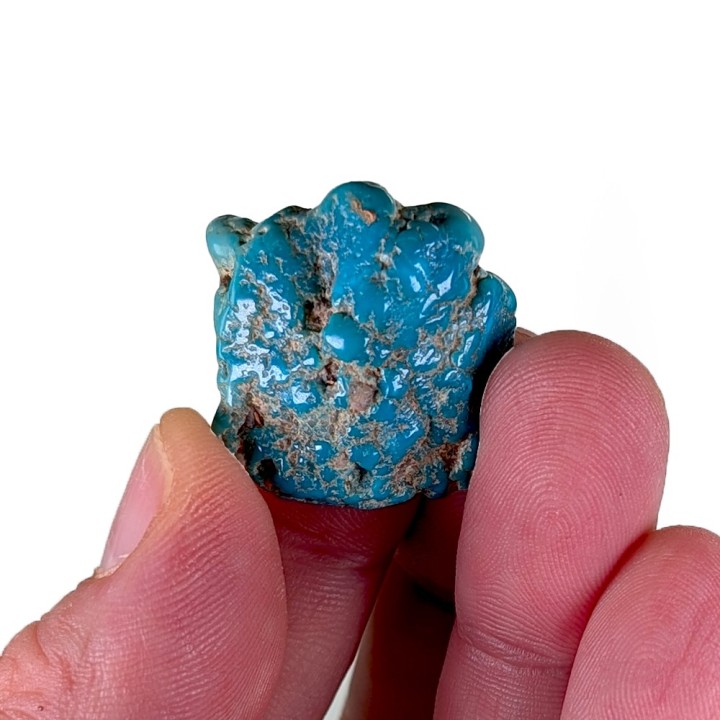 Turquoise, Mine de Campitos, Mexique, 10 grammes