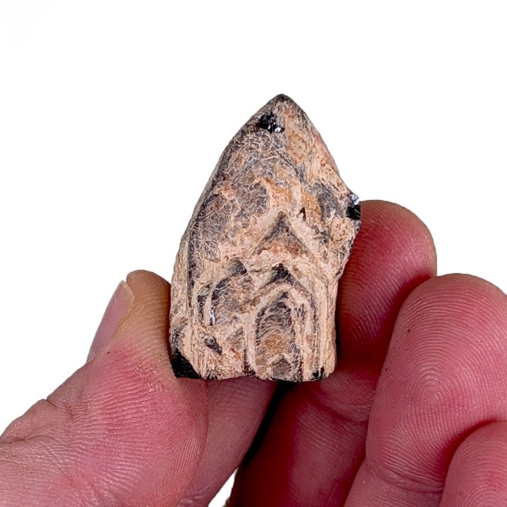Euxenite, Ankazobe, Madagascar, 31 grams