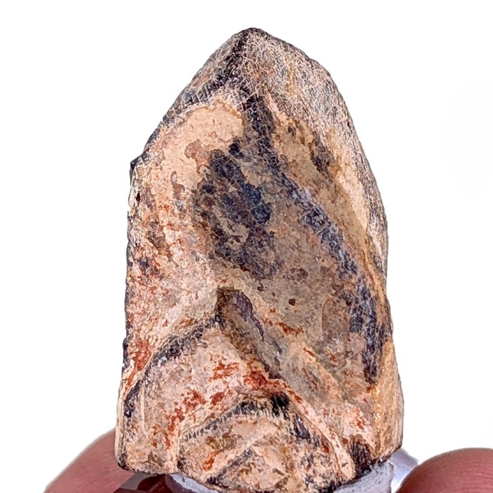 Euxenite, Ankazobe, Madagascar, 31 grams