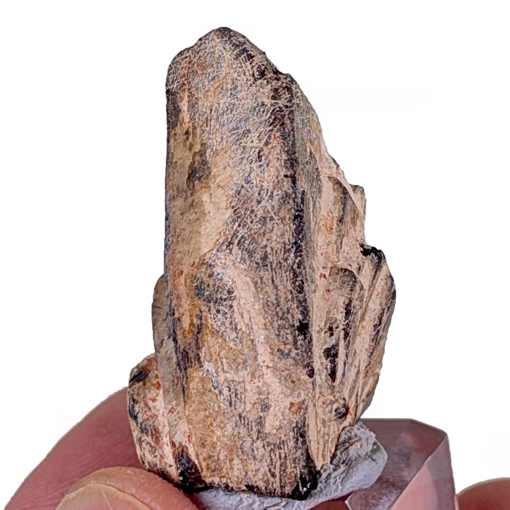 Euxénite, Ankazobe, Madagascar, 31 grammes