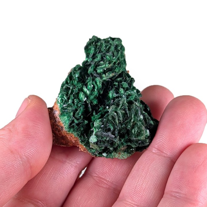 Torbernite, Les Bois Noirs, France, 31 grams