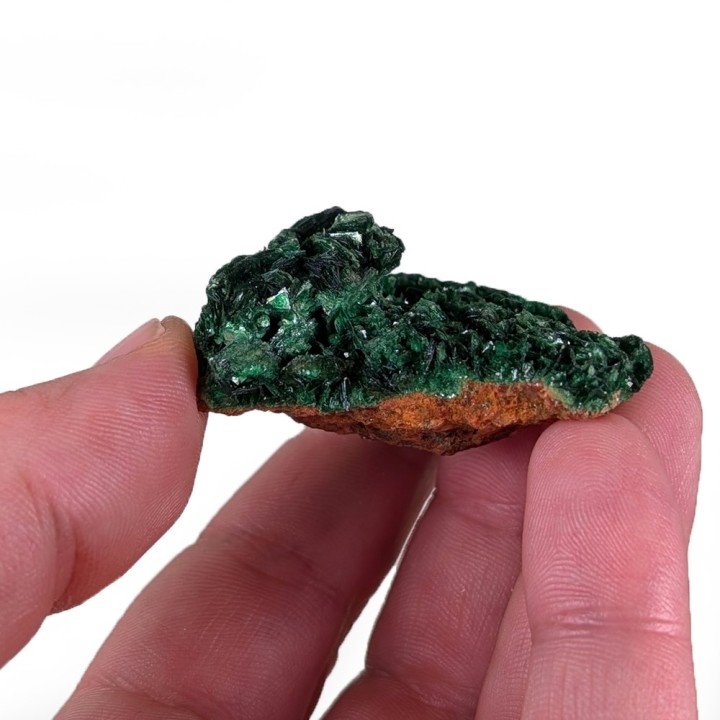 Torbernite, Les Bois Noirs, France, 31 grammes