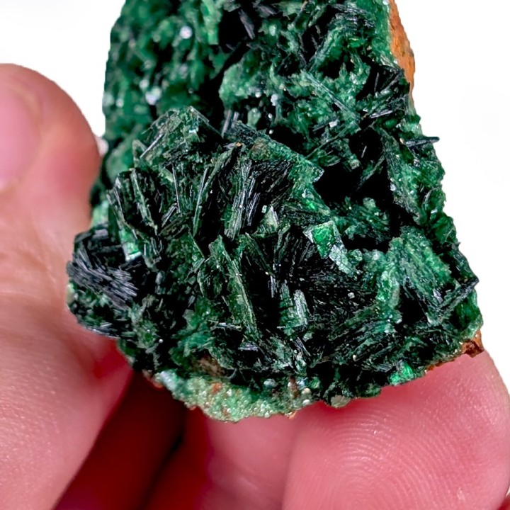 Torbernite, Les Bois Noirs, France, 31 grammes