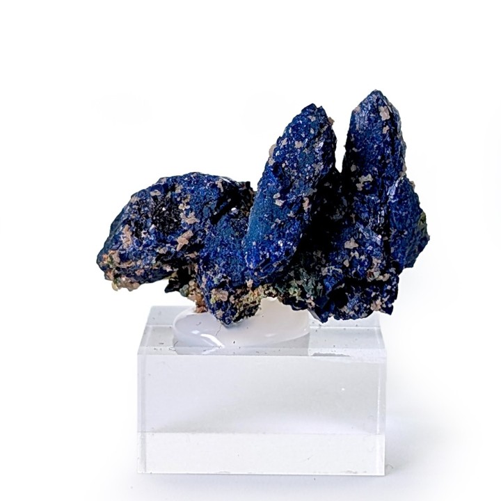 Azurite, Tsumeb, Namibie, 2,7 cm