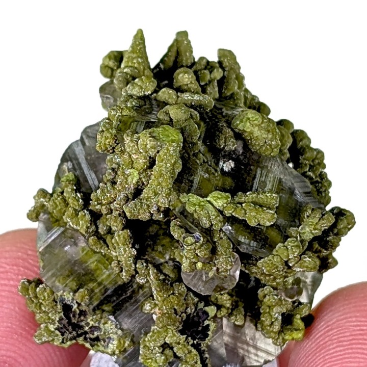 Mottramite, calcite, Mine de Tsumeb, Namibie, 3 cm