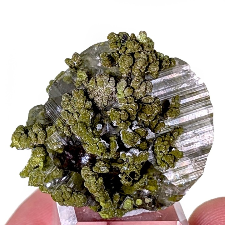Mottramite, calcite, Mine de Tsumeb, Namibie, 3 cm