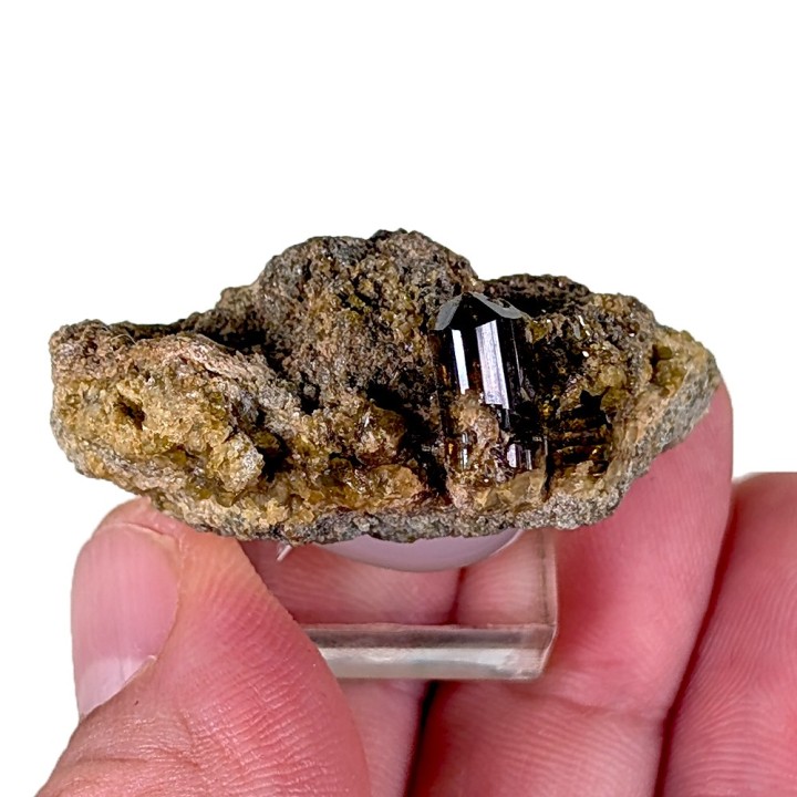Vésuvianite, Bellecombe, Italie, 4,1 cm