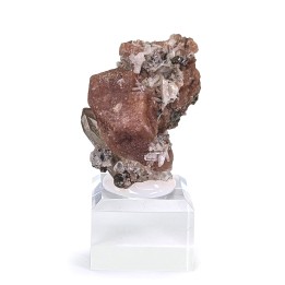 Rhodochrosite, bertrandite, Gisement Kara-Oba W, Kazakhstan, 3,1 cm