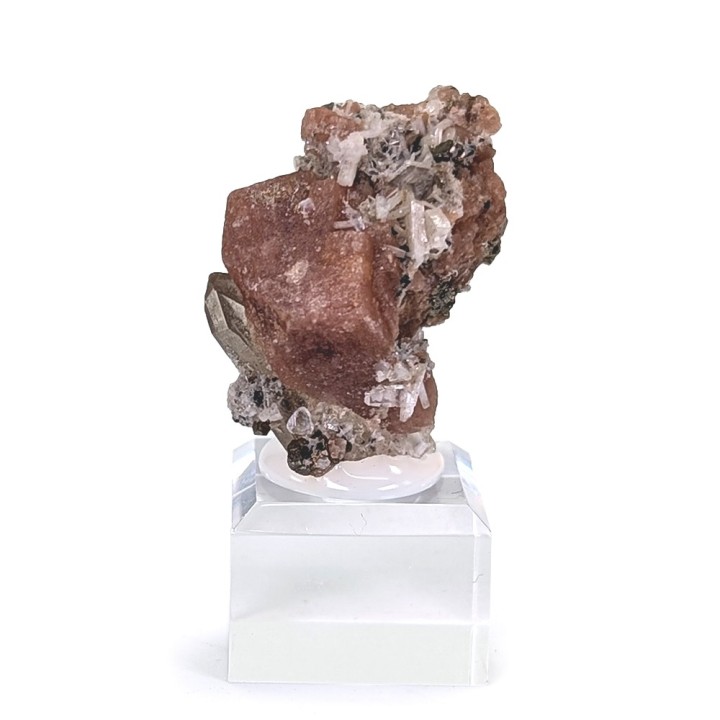 Rhodochrosite, bertrandite, Gisement Kara-Oba W, Kazakhstan, 3,1 cm