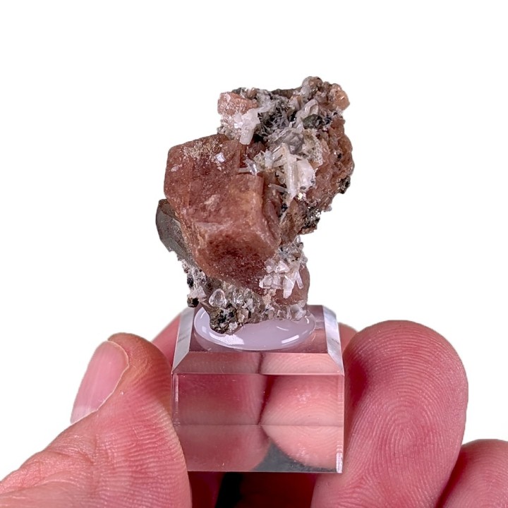 Rhodochrosite, bertrandite, Kara-Oba W Deposit, Kazakhstan, 3.1 cm