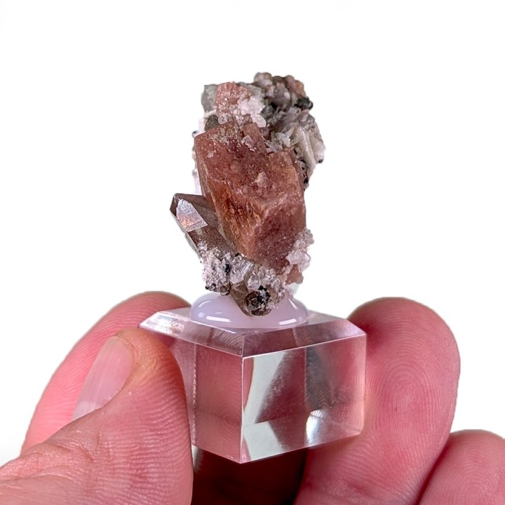 Rhodochrosite, bertrandite, Gisement Kara-Oba W, Kazakhstan, 3,1 cm