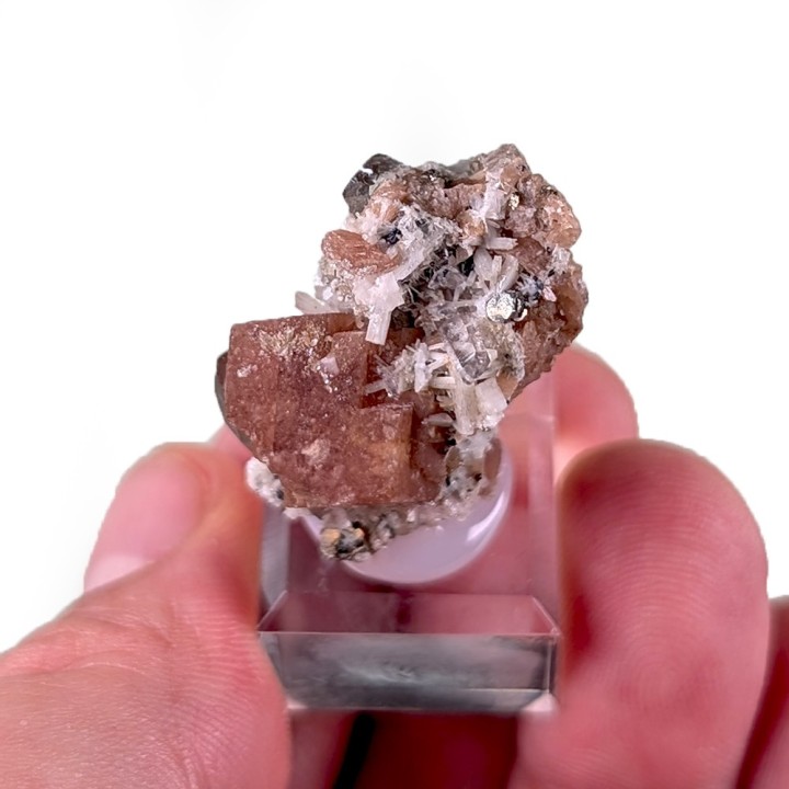 Rhodochrosite, bertrandite, Kara-Oba W Deposit, Kazakhstan, 3.1 cm