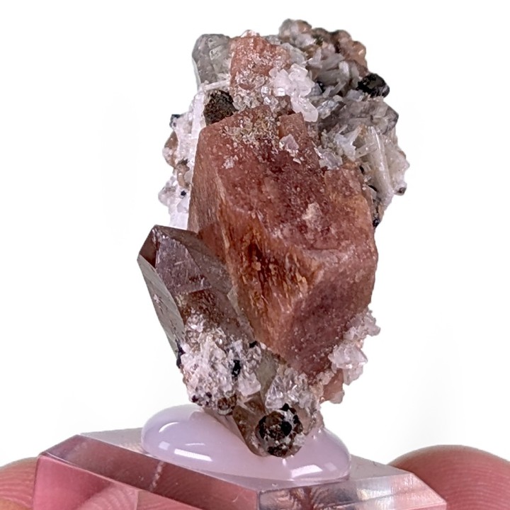 Rhodochrosite, bertrandite, Gisement Kara-Oba W, Kazakhstan, 3,1 cm