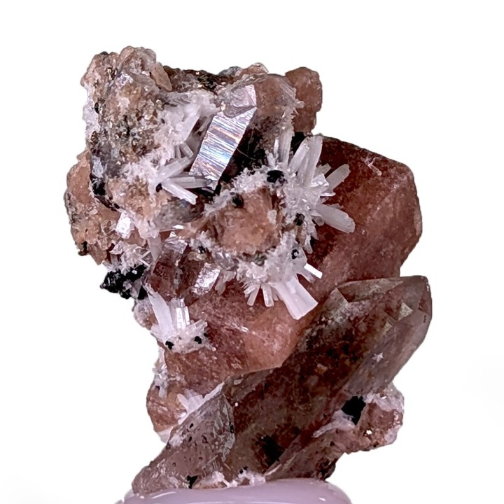 Rhodochrosite, bertrandite, Kara-Oba W Deposit, Kazakhstan, 3.1 cm