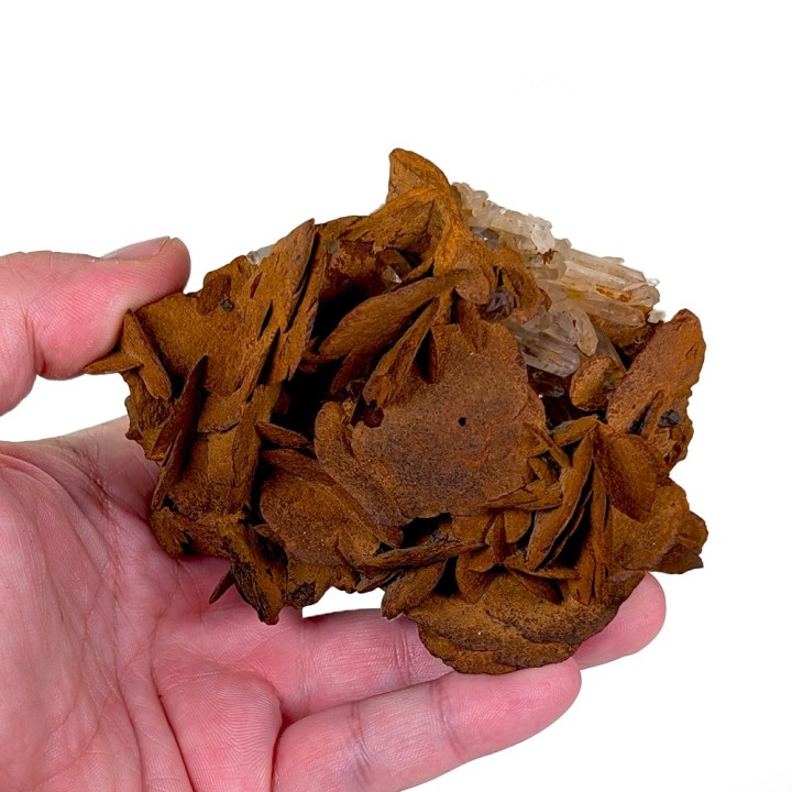 Siderite, quartz, Rivoirands sector, France, 298 grams