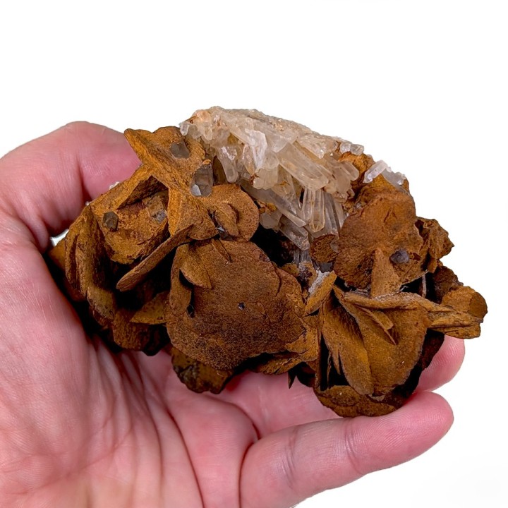 Siderite, quartz, Rivoirands sector, France, 298 grams