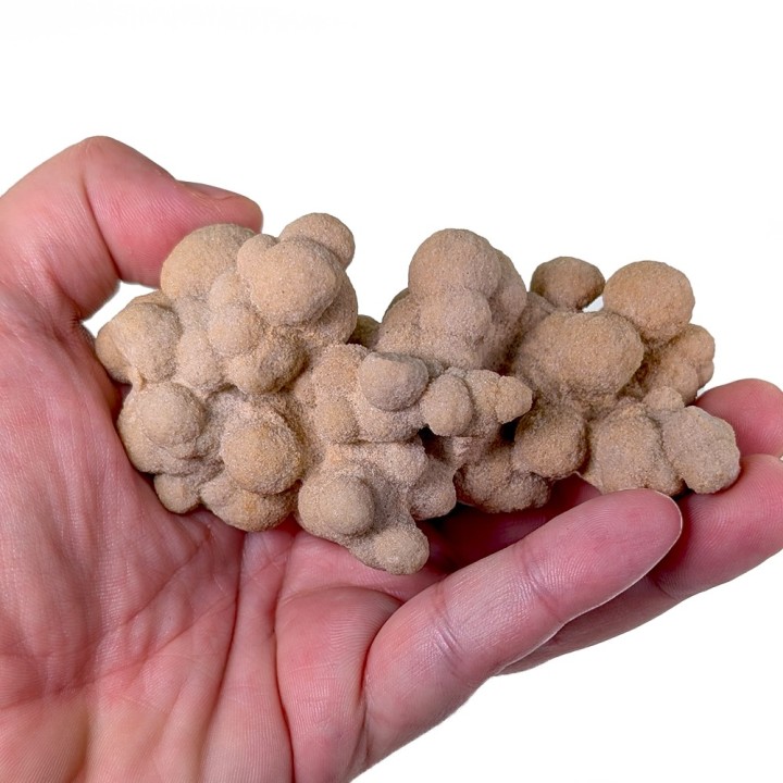 Gogotte, Etampes, France, 185 grams