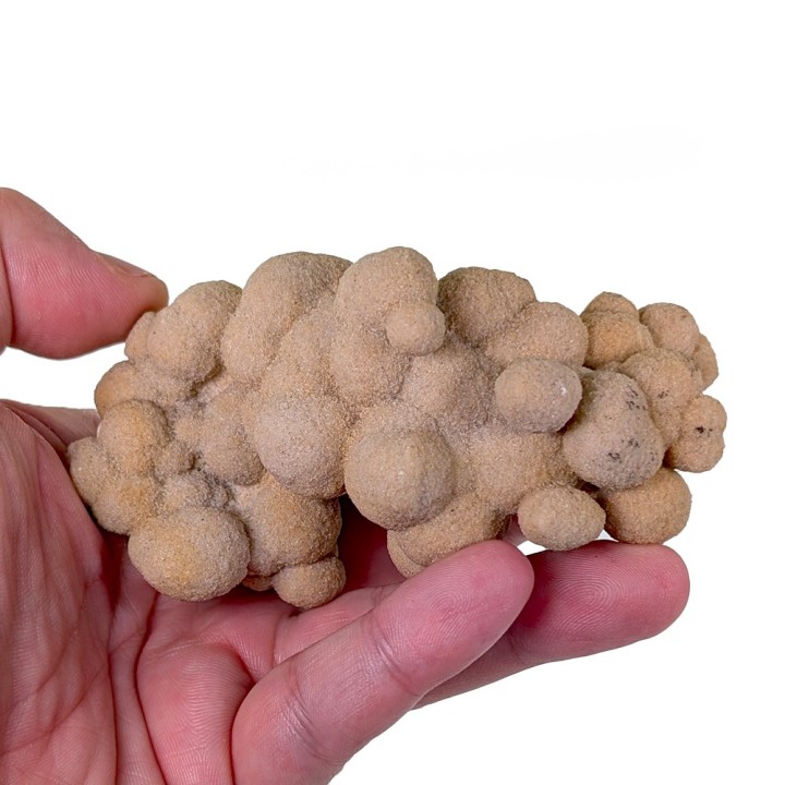 Gogotte, Etampes, France, 185 grams