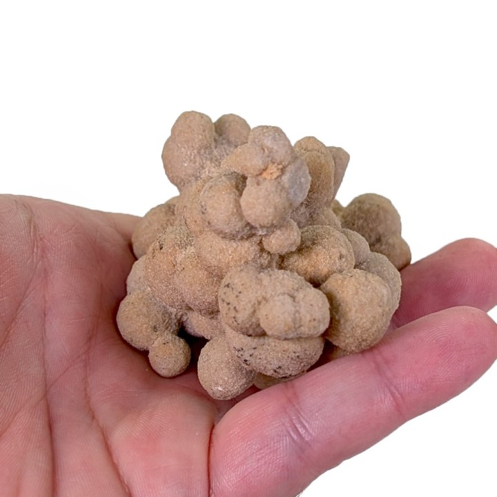 Gogotte, Etampes, France, 185 grams