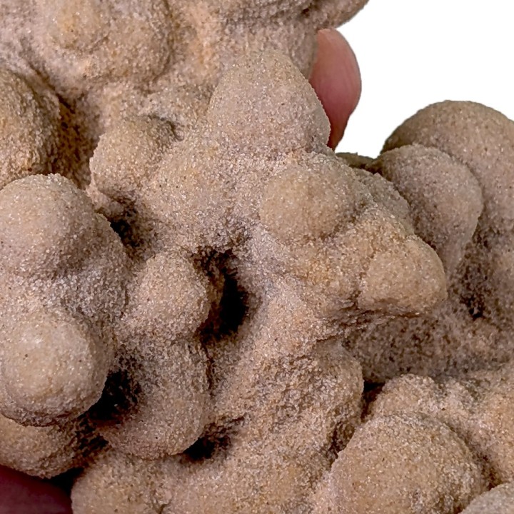 Gogotte, Etampes, France, 185 grams