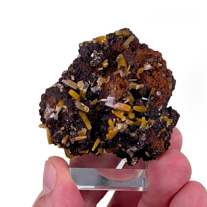 Wulfénite, Mine Ojuela, Mexique, 69 grammes