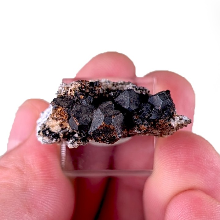Cafarsite, Mont Cervandone, Italie, 2,9 cm