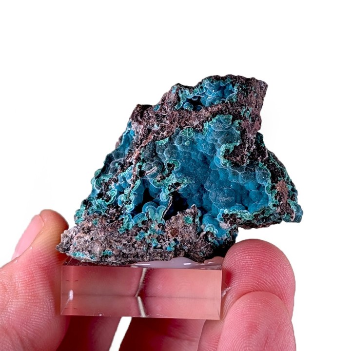 Rosasite, Ojuela Mine, Mexico, 60 grams
