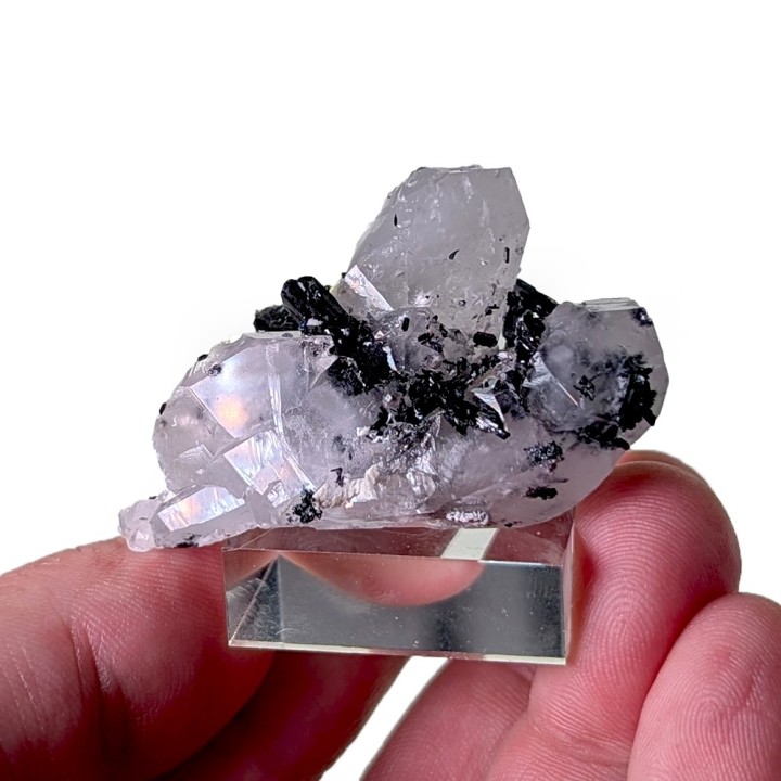 Gaudefroyite, mine N'Chwaning II, Afrique du Sud, 38 grammes