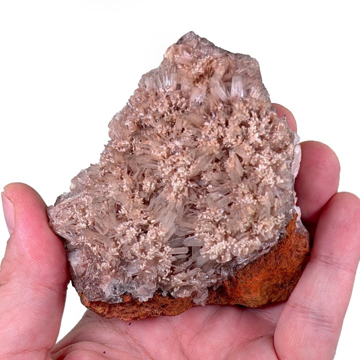 Hémimorphite, Mine d'Ojuela, Mexique, 253 grammes