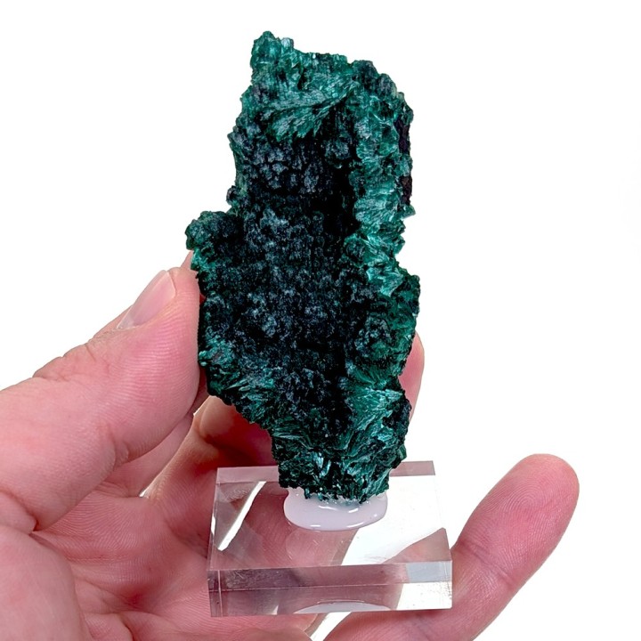 Malachite, Mindigi Mine, Congo, 77 grams