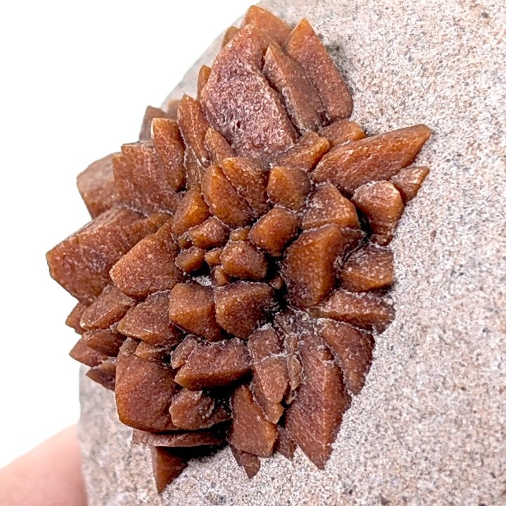 Glendonite, Solenitsa, Russia, 210 grams