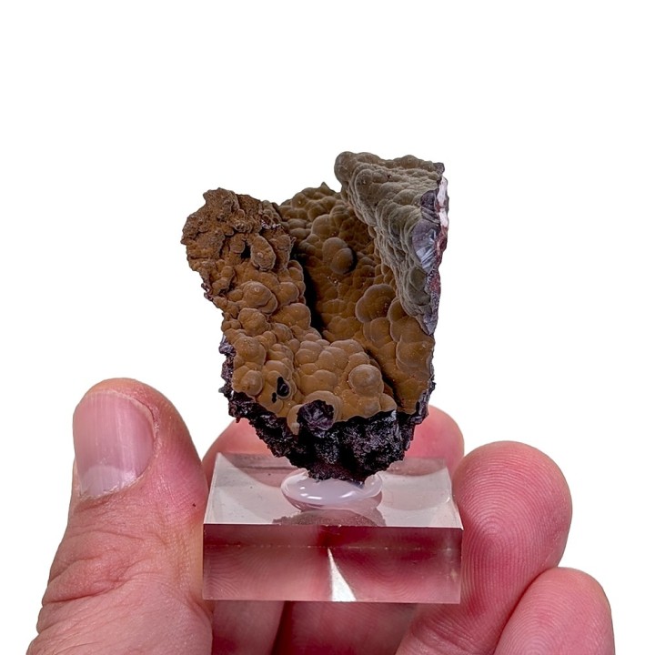 Goethite velours, Montroc, France, 3,7 cm