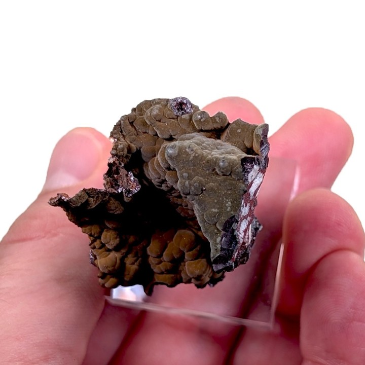 Velvet Goethite, Montroc, France, 3.7 cm