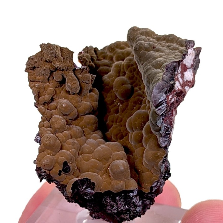 Goethite velours, Montroc, France, 3,7 cm