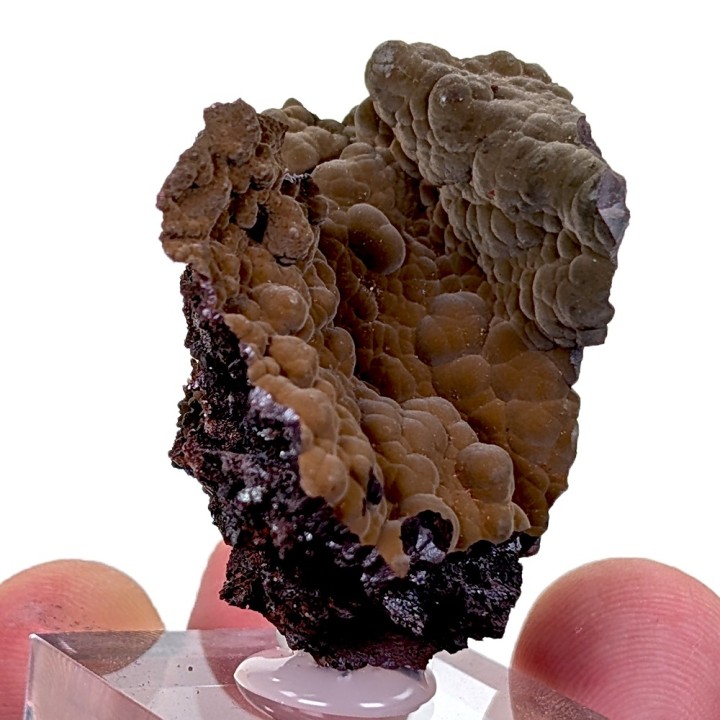 Goethite velours, Montroc, France, 3,7 cm