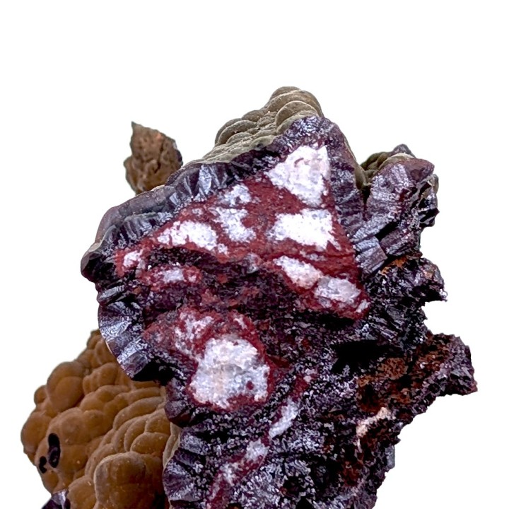 Goethite velours, Montroc, France, 3,7 cm
