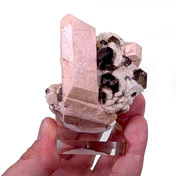 Microcline, smoky quartz, albite, Cantera Massabe, Spain, 180 grams