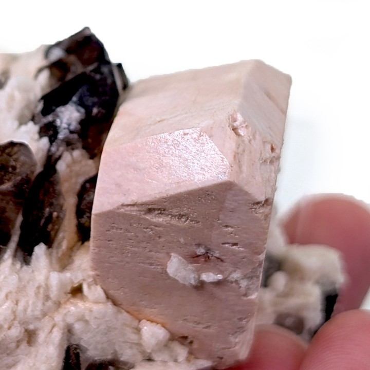 Microcline, smoky quartz, albite, Cantera Massabe, Spain, 180 grams