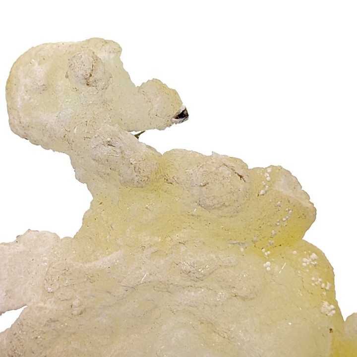 Brucite, Qilla Saif Ullah, Pakistan, 29 grammes
