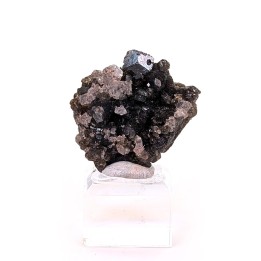 Uvite, Brumado, Brésil, 8,8 grammes