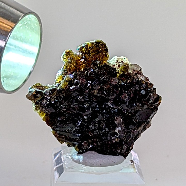 Uvite, Brumado, Brésil, 8,8 grammes