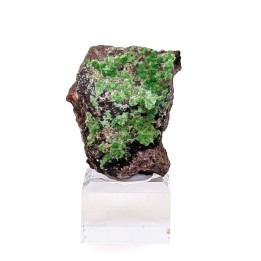 Cuprosklodowskite, Mine Musonoi, Congo, 12 grammes