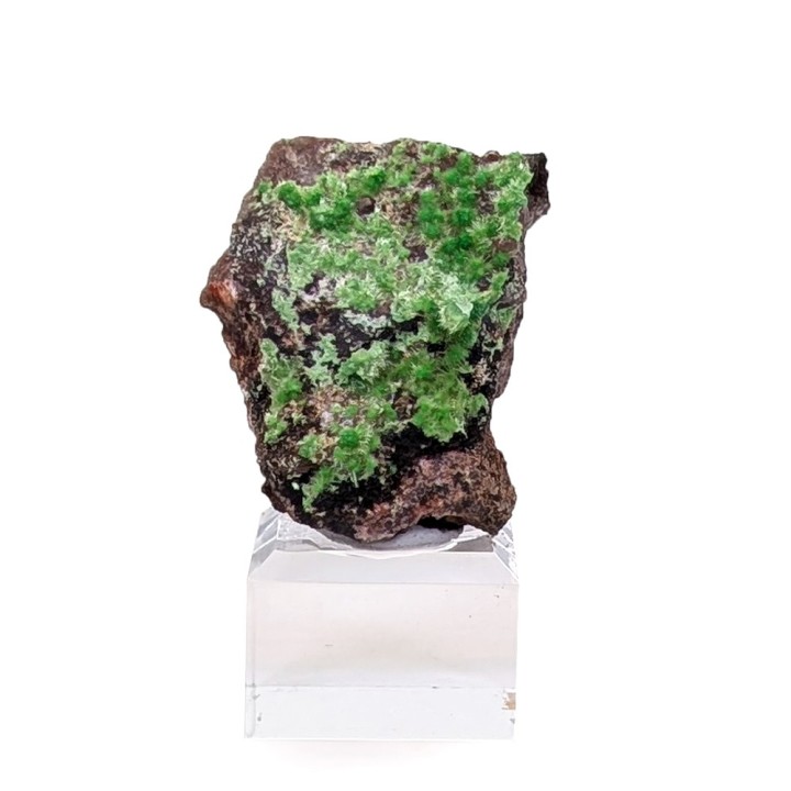 Cuprosklodowskite, Mine Musonoi, Congo, 12 grammes