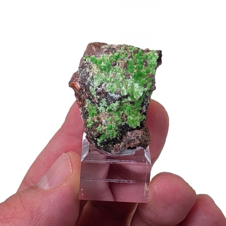 Cuprosklodowskite, Mine Musonoi, Congo, 12 grammes